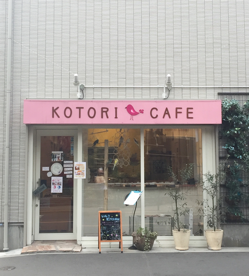 kotori-cafe-tokyo-vogel-restaurant-papagei-must-see